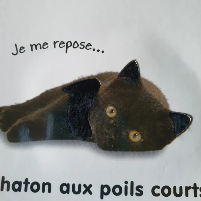 Livre les chatons (à toucher) - photo numéro 3