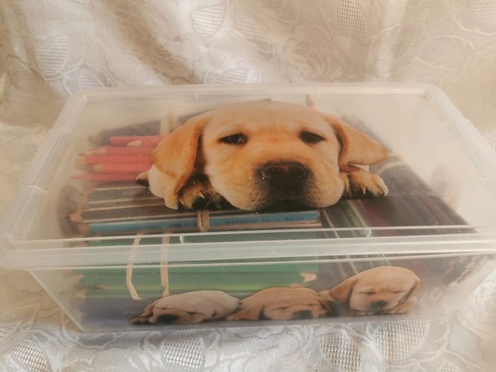 Énorme lot ~250 crayons de couleur + boîte hermétique chiots | Multimarques - photo numéro 5