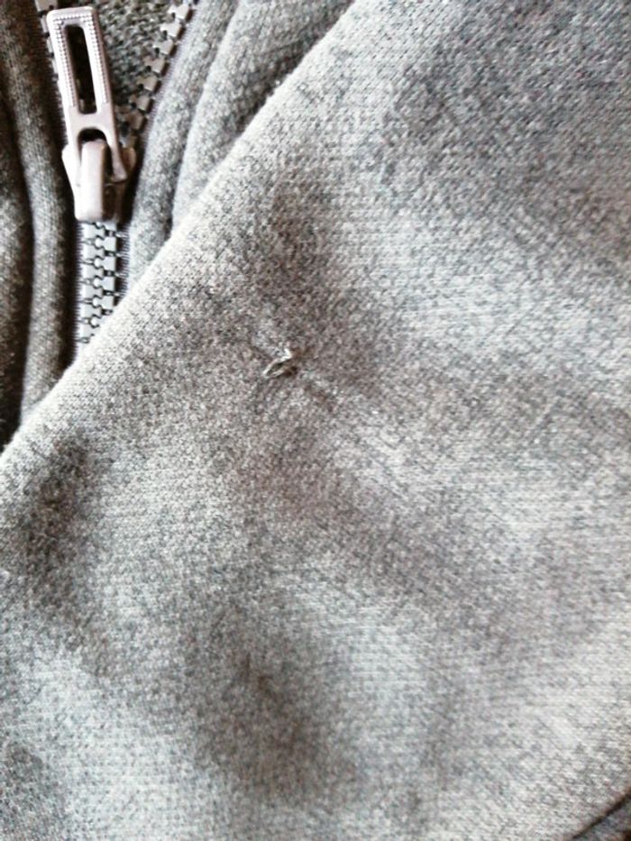 Sweat zippé - photo numéro 4