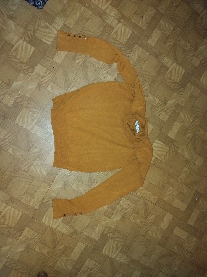Pullzara - photo numéro 3