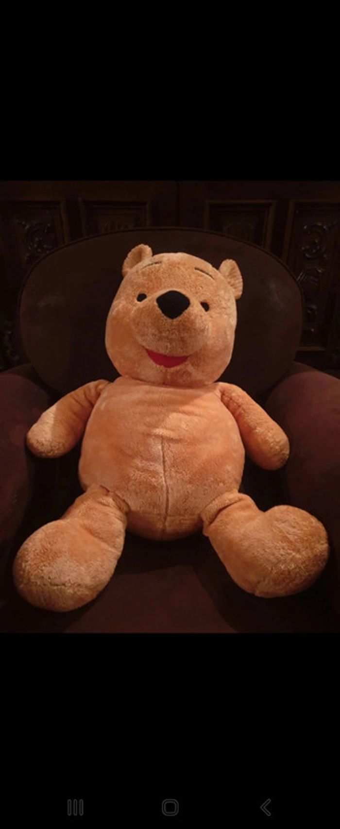 Peluche 60cm Winny l'ourson - photo numéro 2