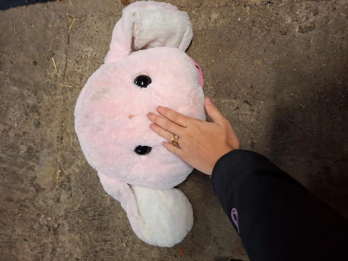 Sac lapin - photo numéro 2