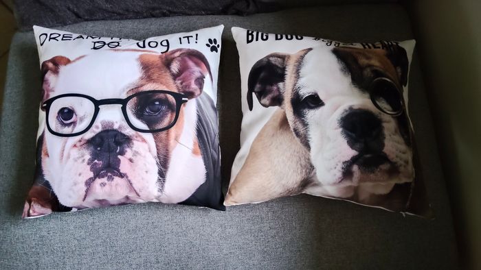 Lot de deux coussins décoratifs animaux