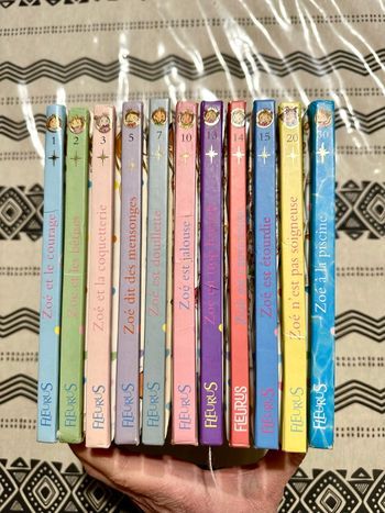 Lot livres princesse parfaite