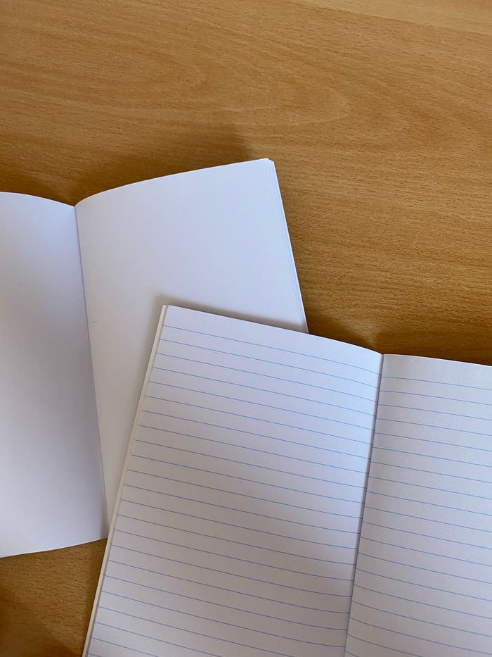 Lot de 2 carnets fantaisie - photo numéro 3