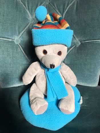 Ours gris sur coussin polaire