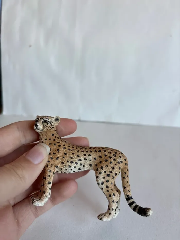 Guépard Schleich - photo numéro 4