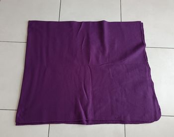 Plaid violet