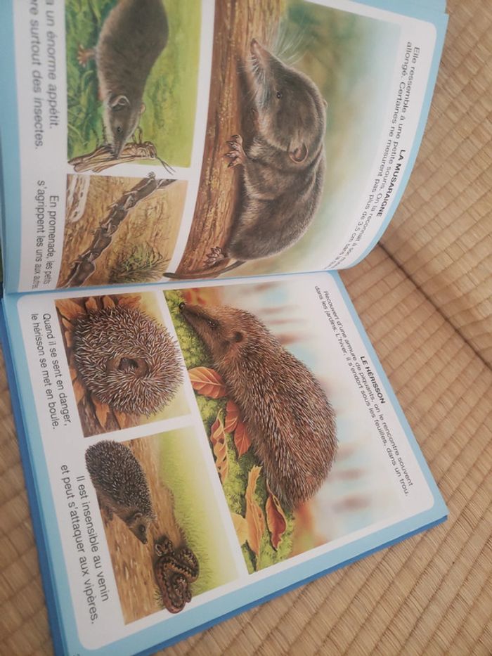 L'imagerie des animaux - photo numéro 4