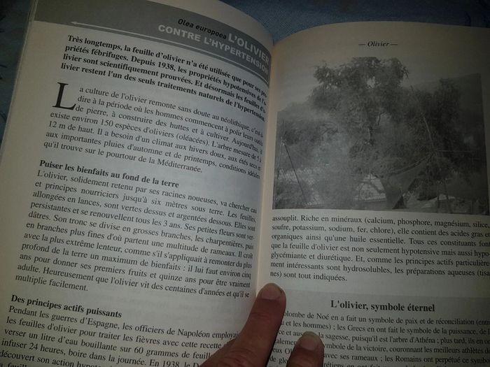 Livre Les plantes qui guérissent - photo numéro 4