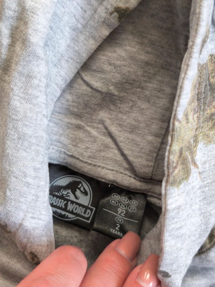 Sweat 2 ans - photo numéro 4