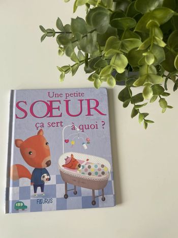 Livre « une petite sœur ça sert à quoi »