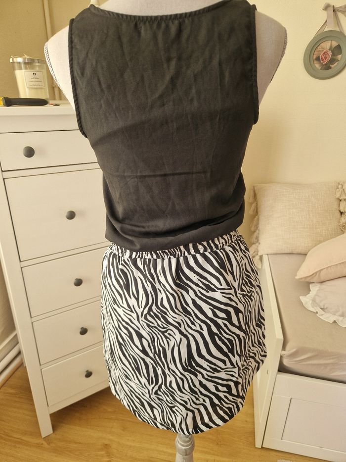 Robe zèbre - photo numéro 3