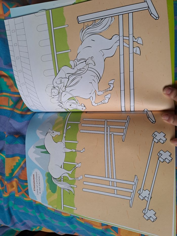Coloriage tout l'univers des chevaux NEUFlivre de coloriage neuf. - photo numéro 3