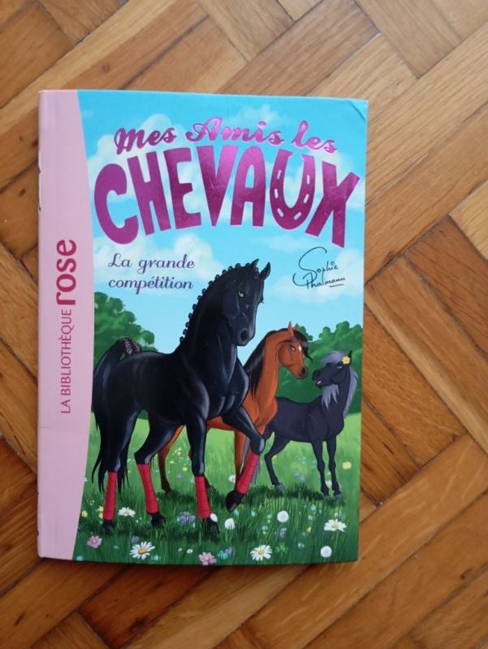Mes amis les chevaux