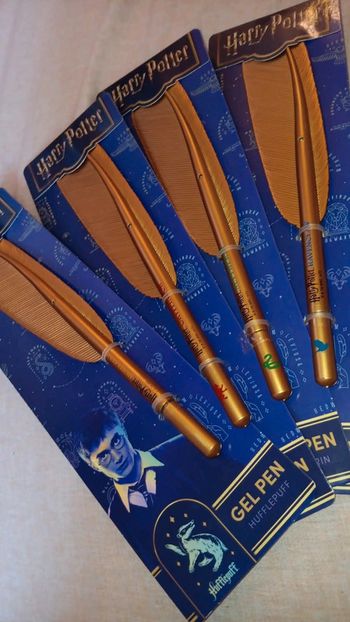 Lot stylo gel maisons harry potter style plume pas de vinted go