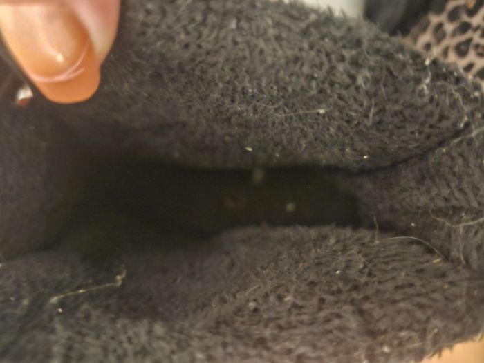 Botte de neige - photo numéro 5