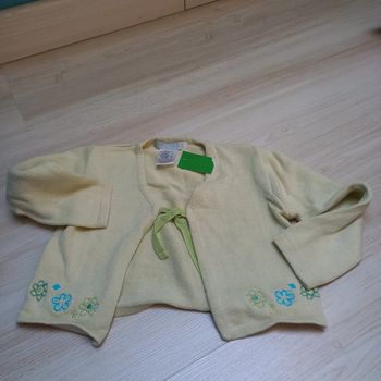 Gilet vert pâle