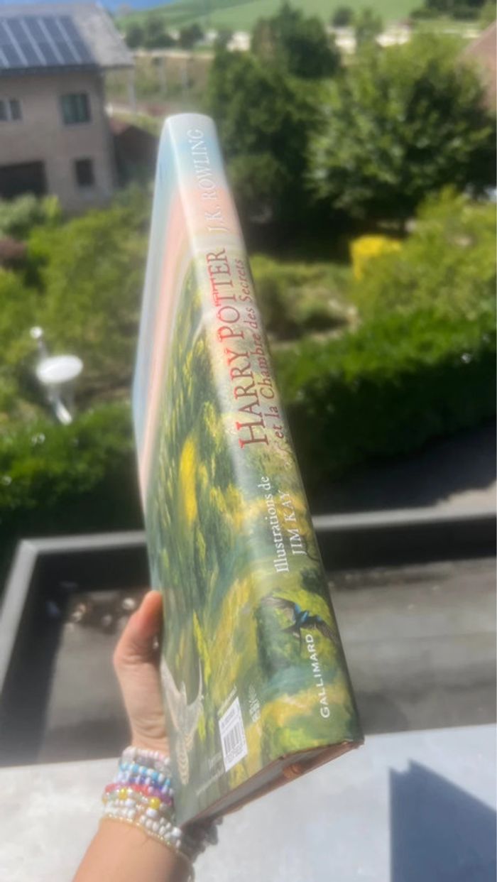 Harry Potter et la chambre des secrets – Édition illustrée - photo numéro 6