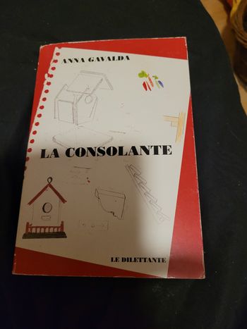 La consolante Anna Gavalda