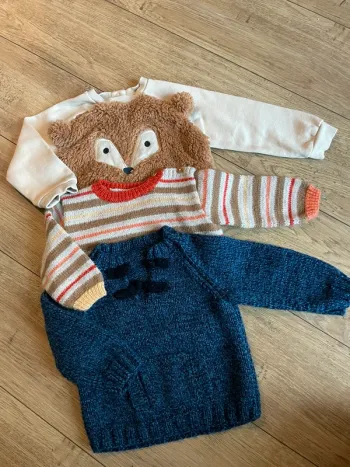 Lot de pull