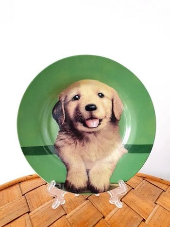 Assiette décorative collection Movitex chiot chien golden retriever labrador