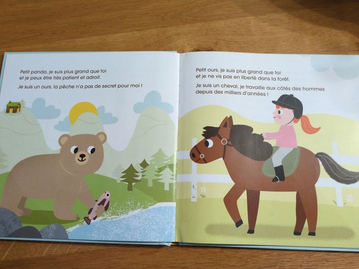 Beau livre enfant - photo numéro 3