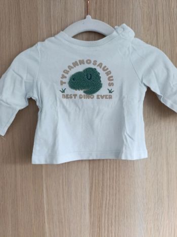 Tee shirt dino 1 mois