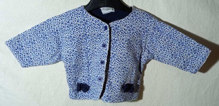 Gilet bleu Aubisou