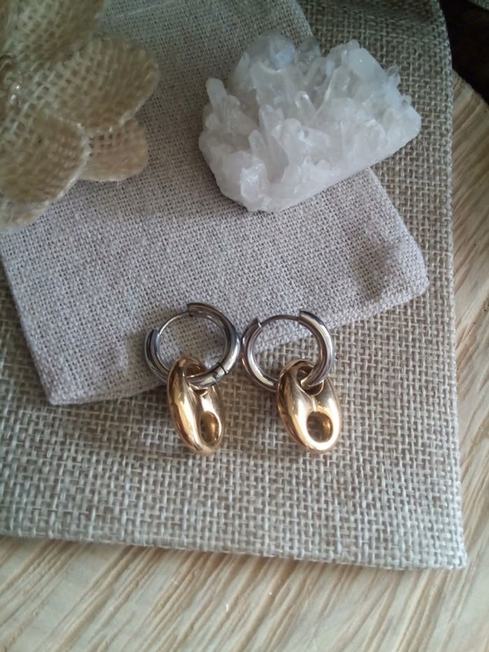 Boucles d'oreilles en acier inoxydable argenté / doré