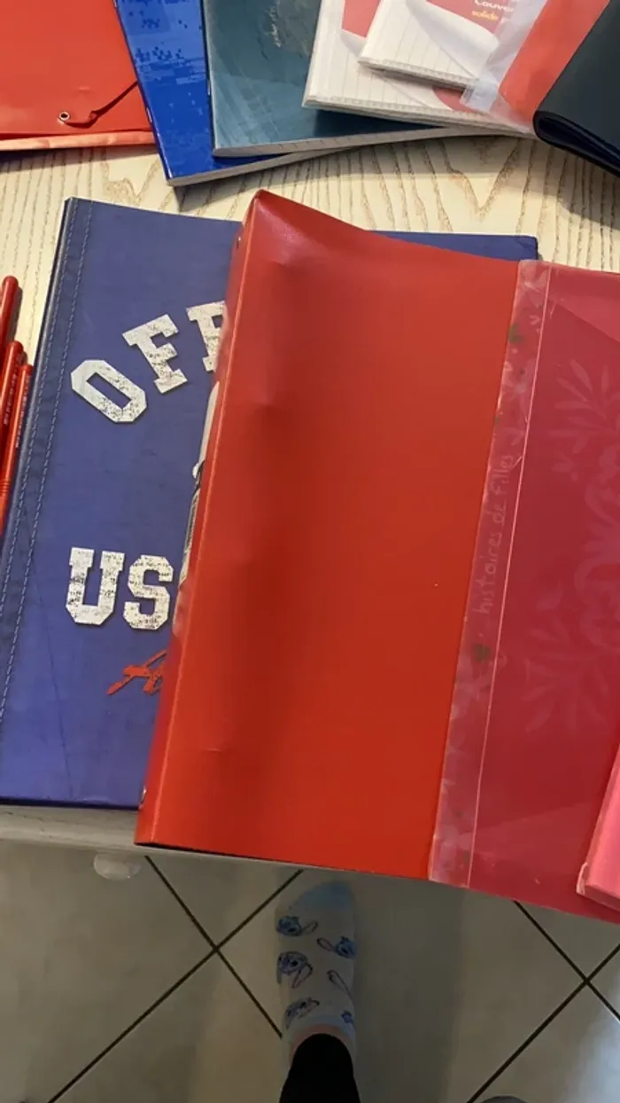 gros lot scolaires classeurs cahiers trieurs porte vues etc - photo numéro 7