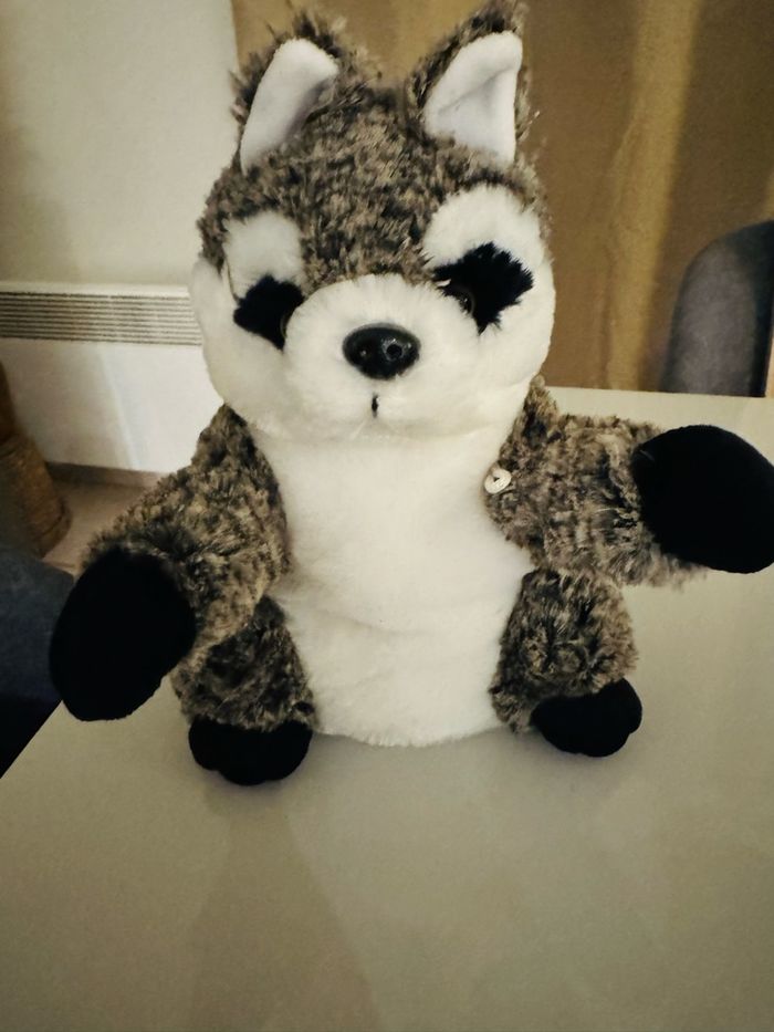 Raton laveur - photo numéro 3