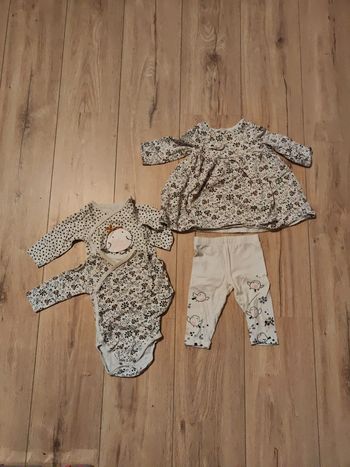 Ensemble DPAM oiseau