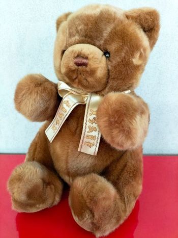 Peluche ours Nounours