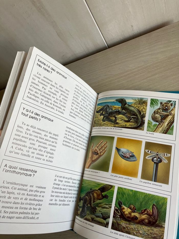 Livre enfant "Le monde étonnant des animaux – 300 questions/réponses - photo numéro 6