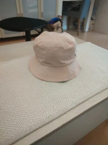 Bob rose la halle 56 cm