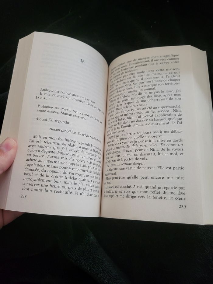 La femme de ménage - photo numéro 4