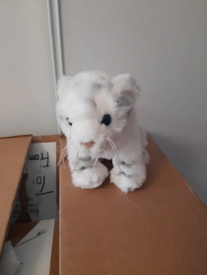 Peluche - photo numéro 5