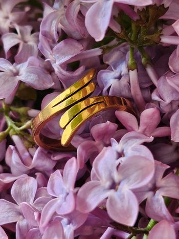 Bague dorée en acier inoxydable