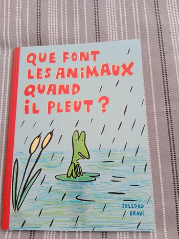 Que font les animaux quand il pleut ?