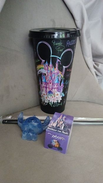 Lots disney