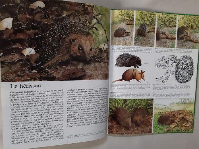 3 livres sur les animaux 7 / 8 ans - La vie secrète des bêtes - photo numéro 7