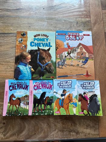 Lot livres thème chevaux/équitation