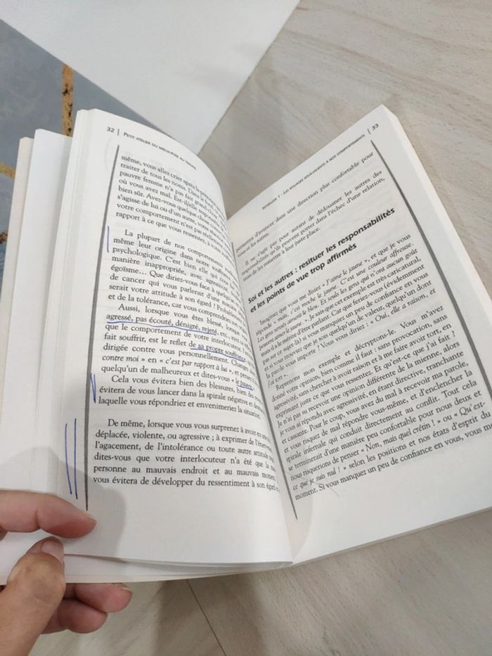 Livre grand format petit atelier du mieux être travail pour salariés tous horizons Milletre psycho - photo numéro 12