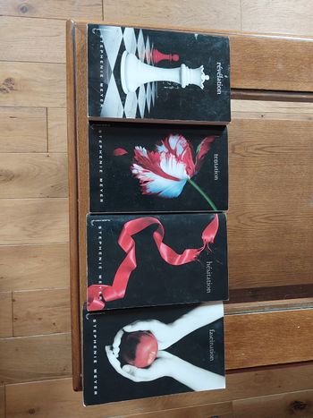 Les 4 livrés  tome 1234