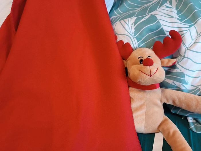 Peluche caribou+ plaid - photo numéro 2