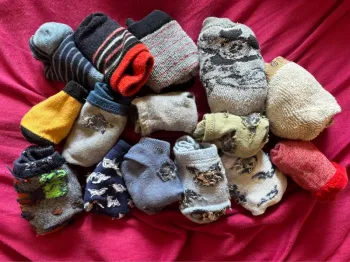 Lot de 15 paires de chaussettes