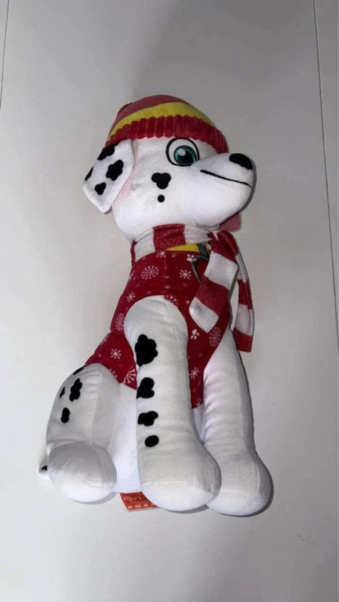 Pat patrouille marcus