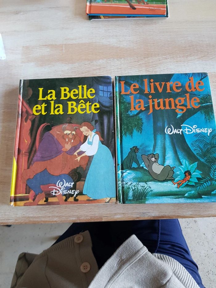 lot de 2 livres Disney