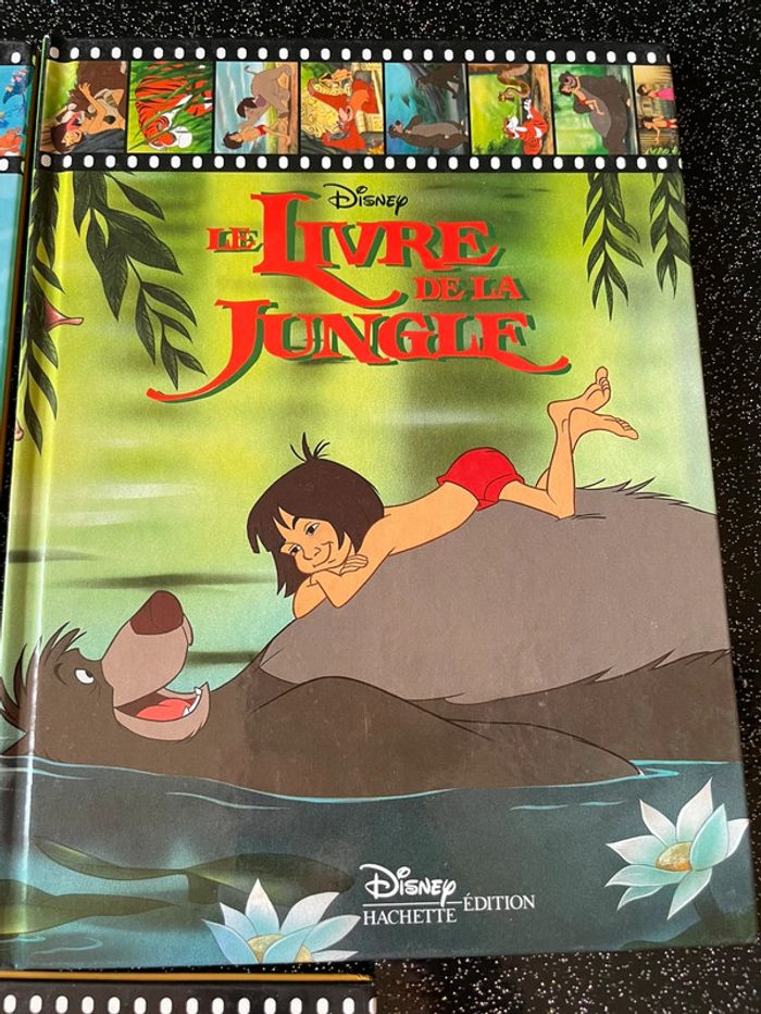 3 livres Disney - photo numéro 3